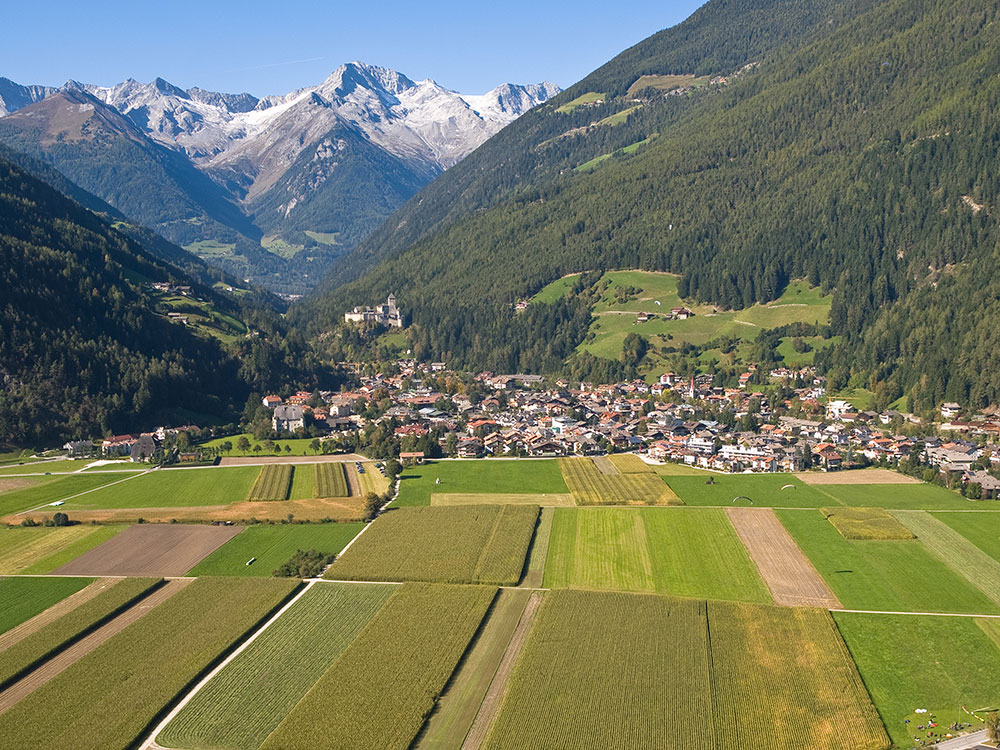 _A015178